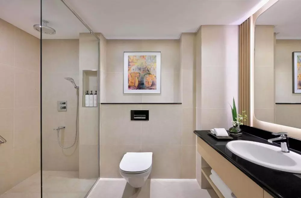 سوئیس اوتل المروج دبی ، زیما سفر